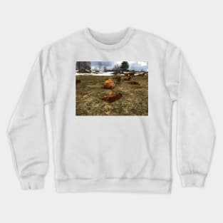 Scottish Highland Cattle Cows and Calves 1747 Crewneck Sweatshirt